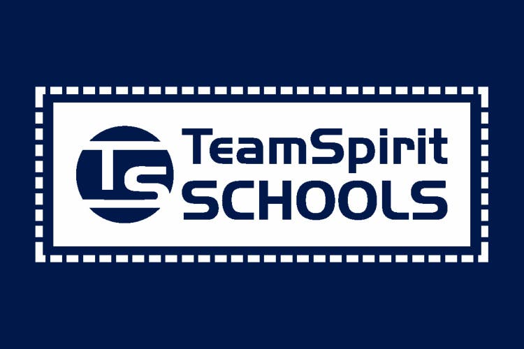 Team Spirit Logo